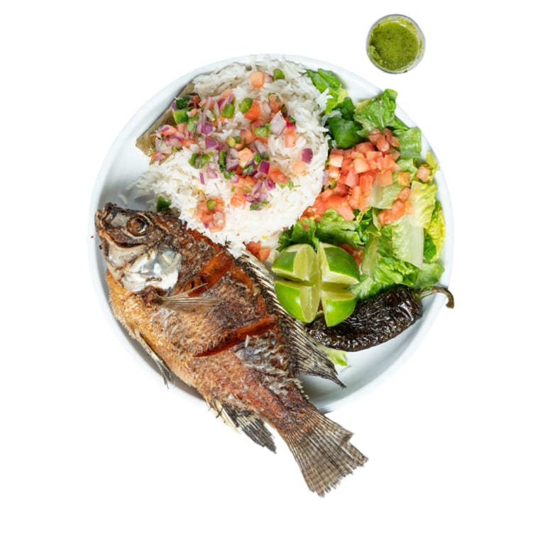 Delicious Dinner Options at Our Restaurant